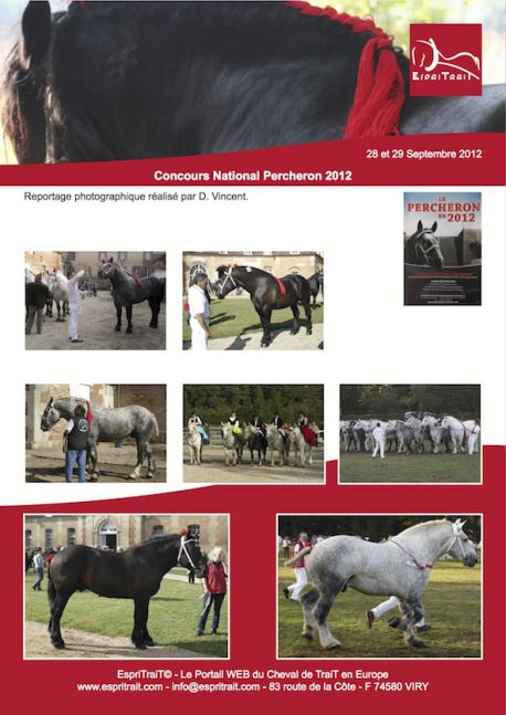 Concours National Percheron 2012