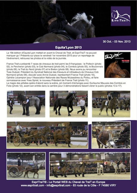 Equita&lsquo;Lyon 2013